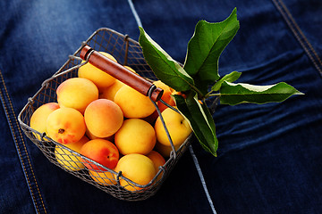 Image showing fresh apricots