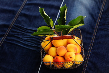 Image showing fresh apricots