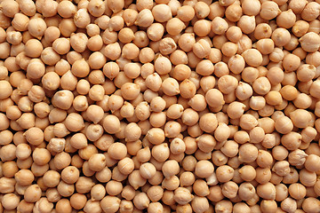 Image showing Dried chick peas background