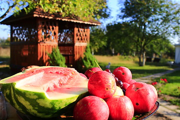 Image showing red apples and cut water-melon on the arbor background