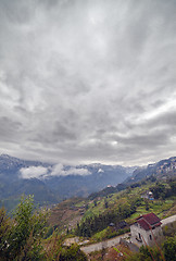 Image showing Rice field terraces. Sapa Vietnam