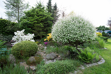 Image showing Beautiful spring garden design with rhododendron