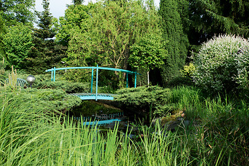 Image showing small green footbridge over a pond