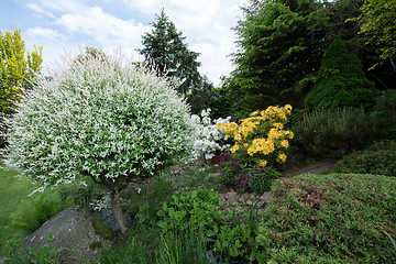 Image showing Beautiful spring garden design with rhododendron