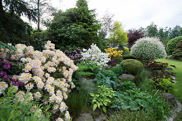 Image showing Beautiful spring garden design with rhododendron