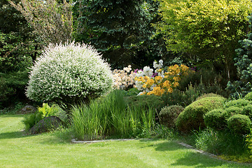 Image showing Beautiful spring garden design with rhododendron