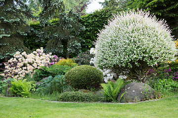 Image showing Beautiful spring garden design with rhododendron
