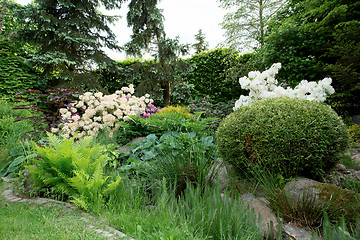 Image showing Beautiful spring garden design with rhododendron