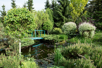 Image showing small green footbridge over a pond