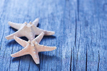 Image showing starfish