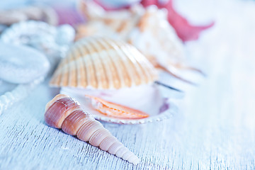 Image showing sea shells