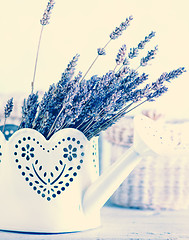 Image showing bouquet of lavender 