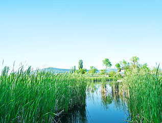 Image showing Lake in Crimea