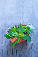 Image showing fresh mint