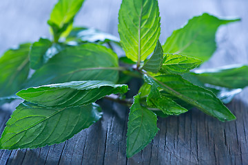 Image showing fresh mint