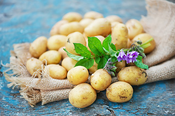 Image showing raw potato