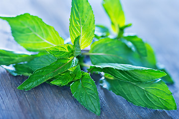 Image showing fresh mint