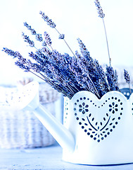 Image showing bouquet of lavender 