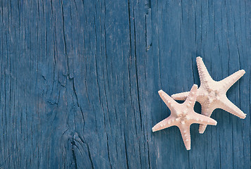 Image showing starfish