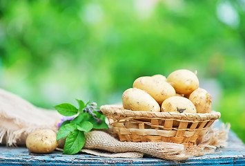 Image showing raw potato