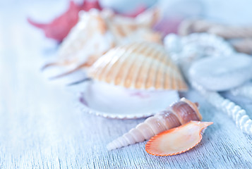 Image showing sea shells