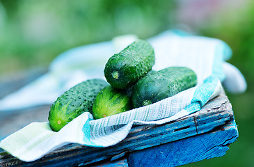 Image showing raw cucumbers