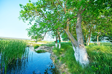 Image showing Lake in Crimea