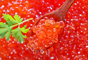 Image showing salmon caviar