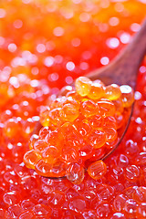 Image showing salmon caviar