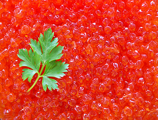 Image showing salmon caviar