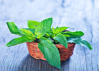 Image showing fresh mint