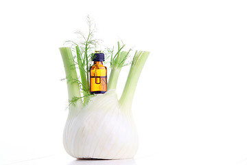 Image showing fennel essential oil