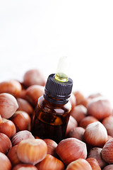 Image showing hazelnut essential oil