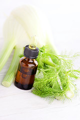Image showing fennel essential oil
