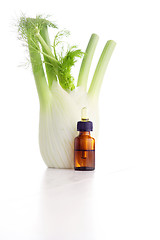 Image showing fennel essential oil