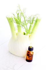 Image showing fennel essential oil