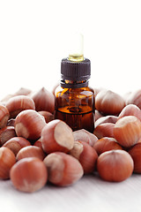 Image showing hazelnut essential oil