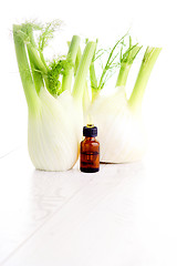 Image showing fennel essential oil