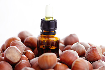 Image showing hazelnut essential oil