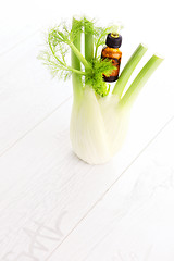 Image showing fennel essential oil