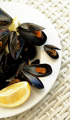 Image showing Mussels