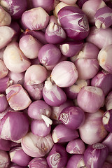 Image showing Lots of peeled shallots