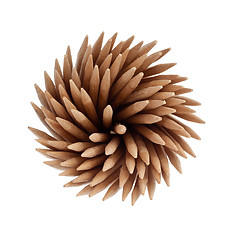 Image showing Spiral toothpicks