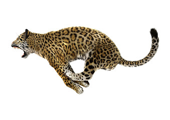 Image showing Jaguar