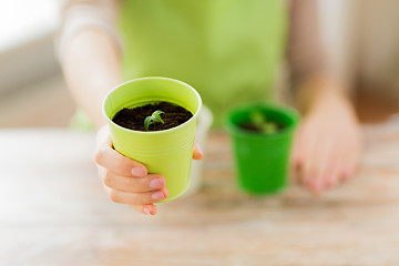 Image showing close up of woman hand holding pot with sprout