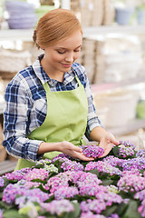 Image showing happy woman taking care of flowers in greenhouse