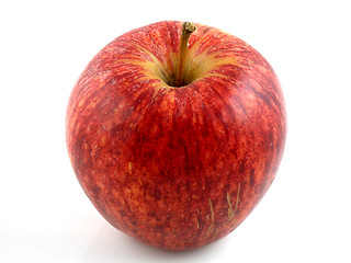 Image showing Gala apple