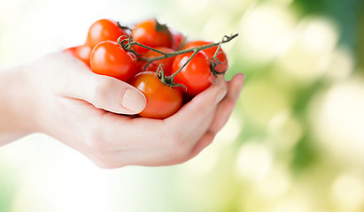 Image showing close up of woman hands holding cherry tomatoes