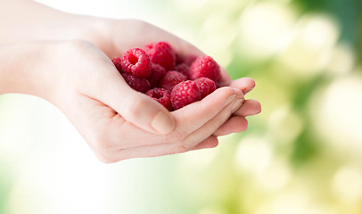 Image showing close up of woman hands holding raspberries