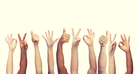 Image showing human hands showing thumbs up, ok and peace signs